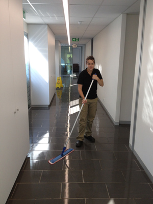 Cleaning Offices