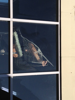Cleaning Windows